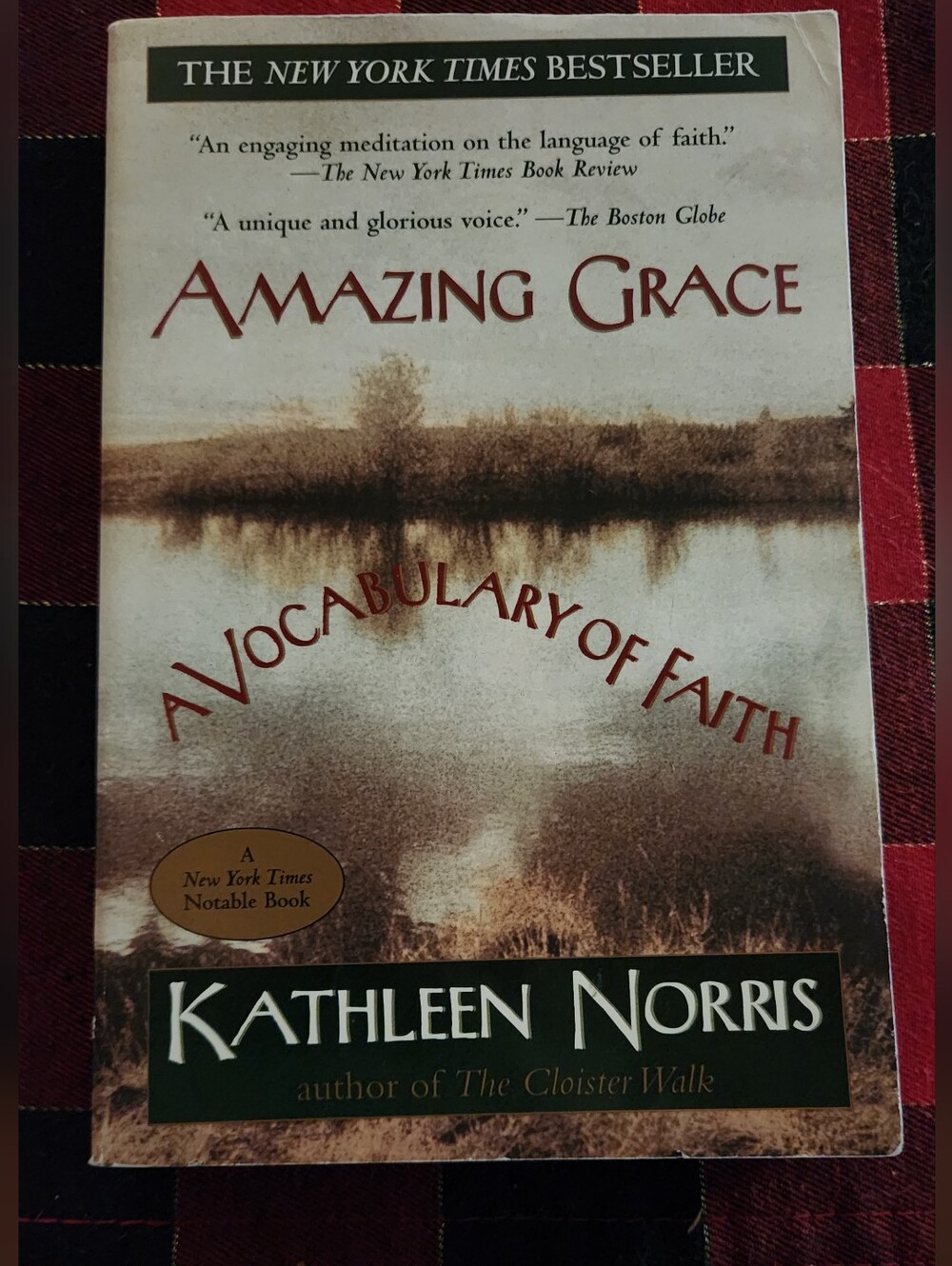 Amazing Grace A Vocabulary of Faith by - By Kathleen Norris
